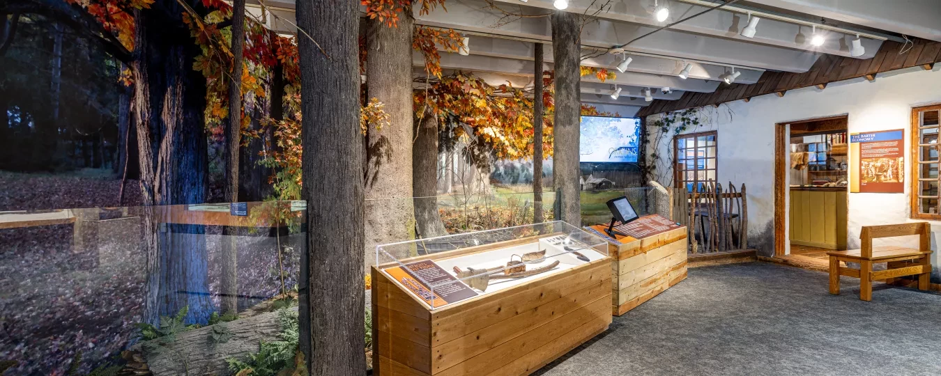 Origins exhibit