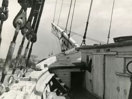 Wing in 1950