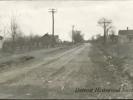 Print, Photographic - Glenfield Avenue