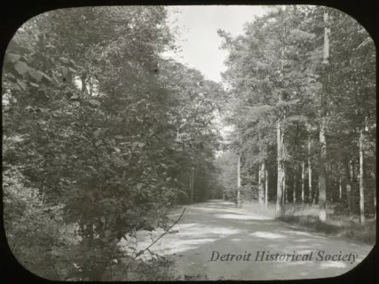 Transparency, Lantern-slide - Wooded Road, Belle Isle