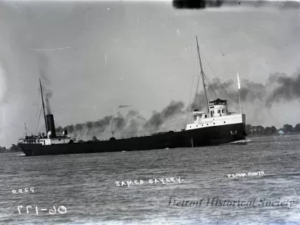 Negative, Glass-plate