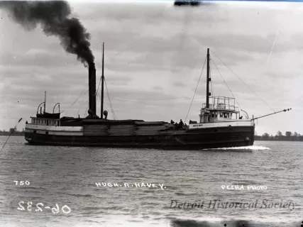 Negative, Glass-plate