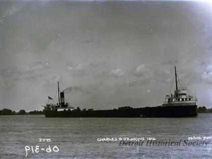 Negative, Glass-plate