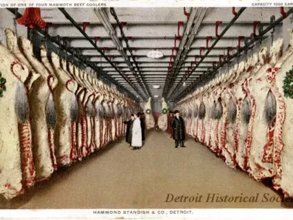 Postcard - Hammond Standish & Co., Detroit. A Section of One of Four Mammoth Beef Coolers. Capacity 1000 Carcasses.
