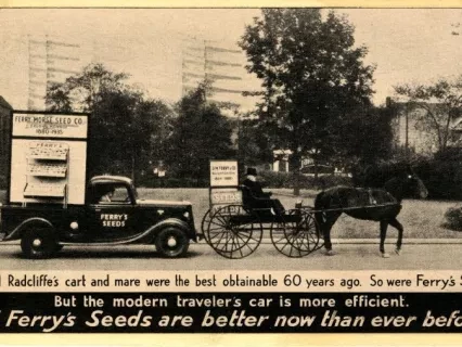 Postcard