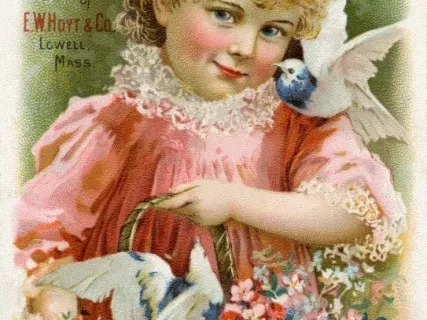 Card, Trade