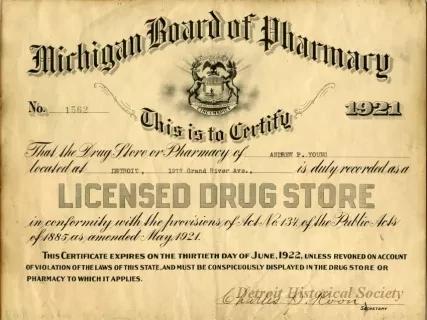 License, Occupational