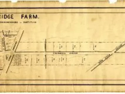 Map - Woodbridge Farm
As Divided by the Commissioners in Partition