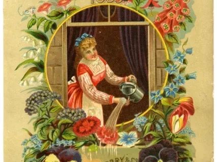 Engraving - Seed Annual, 1883