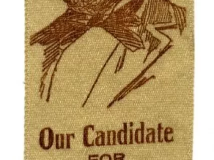 Ribbon, Political