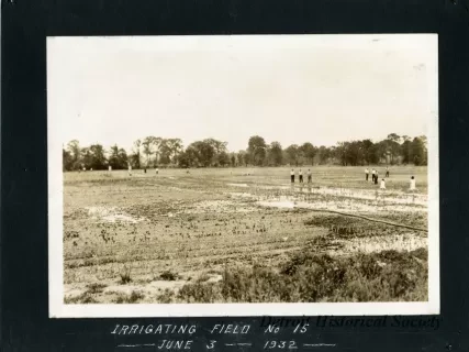 Print, Photographic