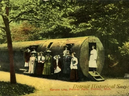 Postcard - Spruce Log, Palmer Park, Detroit, Mich.