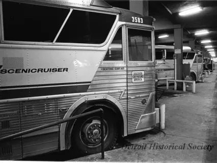 Print, Photographic - Greyhound Buses