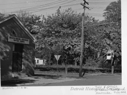 Print, Photographic - Field E Detroit; St Paul, Townsend; Treehouse 9:00 AM