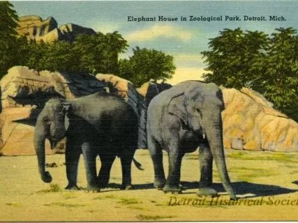Postcard - Elephant House in Zoological Park, Detroit, Mich.