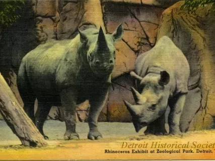 Postcard - Rhinoceros Exhibit at Zoological Park, Detroit, Mich.
