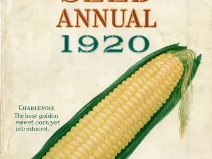 Catalog - Ferry's Seed Annual, 1920