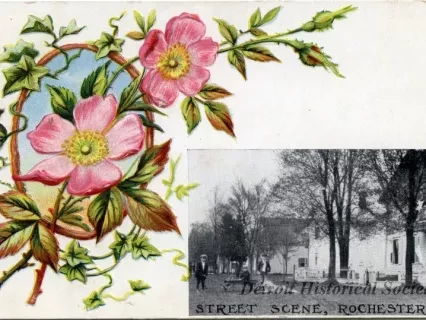 Postcard - Street Scene, Rochester, Mich.
