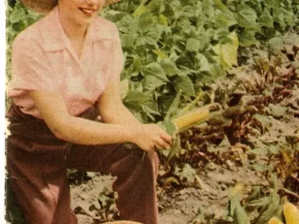 Brochure - Make the MOST of Your Vegetable Garden