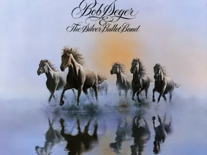 Album, Record - Against the Wind