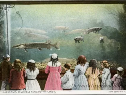 Postcard - In the Aquarium, Belle Isle Park, Detroit, Mich.