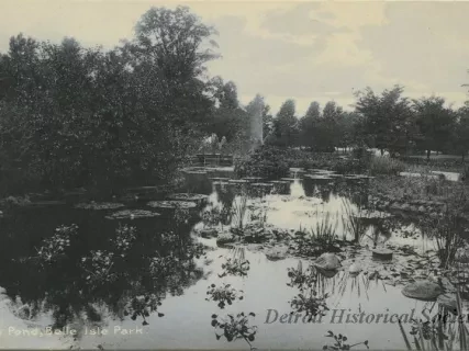 Postcard - Lily Pond, Belle Isle Park