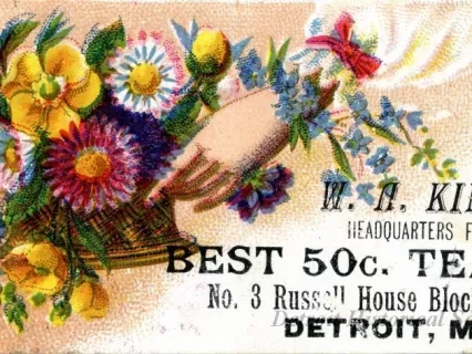 Card, Store - W. A. King, 
Headquarters for Best 50c. Teas
