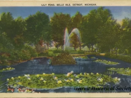 Postcard - Lily Pond, Belle Isle, Detroit, Mich.