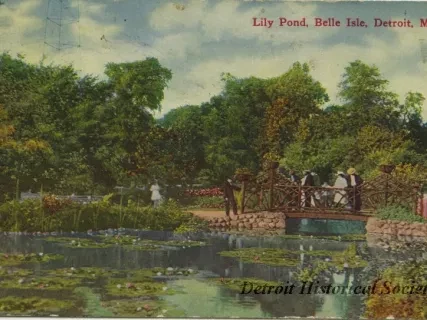 Postcard - Lily Pond, Belle Isle, Detroit, Mich.