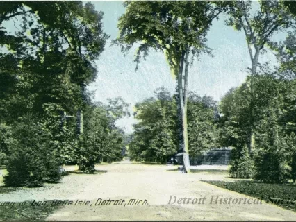 Postcard - Roadway to Zoo, Belle Isle, Detroit, Mich.