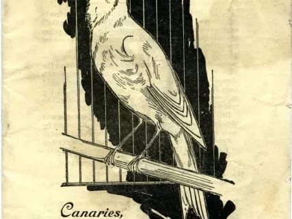 Booklet - Canaries, Cage Birds and Pet Animals
(Royce & Passmore)