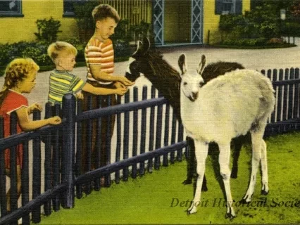 Postcard