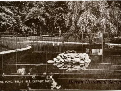 Postcard - Seal Pond, Belle Isle, Detroit, Mich.