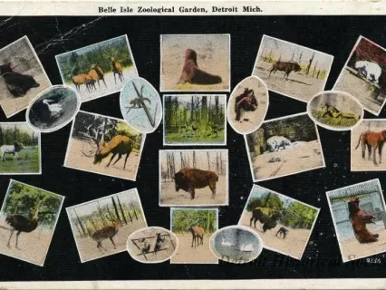 Postcard - Belle Isle Zoological Garden, Detroit, Mich.