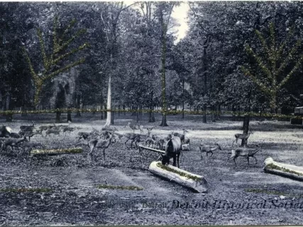 Postcard - Deer Park, Detroit, Mich.