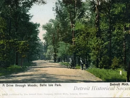 Postcard - A Drive through Woods; Belle Isle Park, Detroit, Mich.