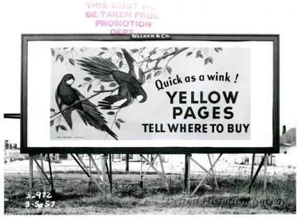 Print, Photographic