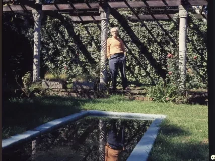 Transparency, Roll-film