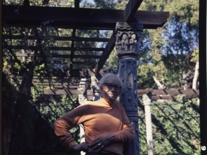 Transparency, Roll-film