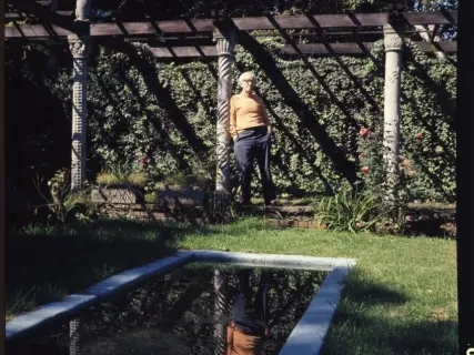 Transparency, Roll-film