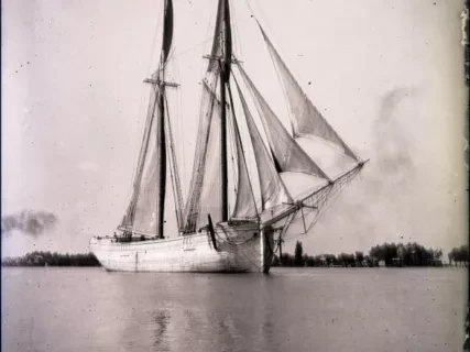Negative, Glass-plate