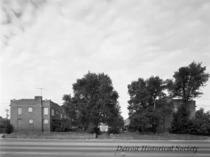 Negative, Film