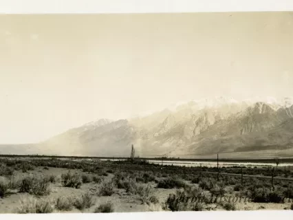 Print, Photographic