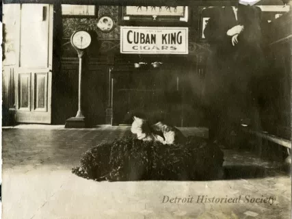 Print, Photographic