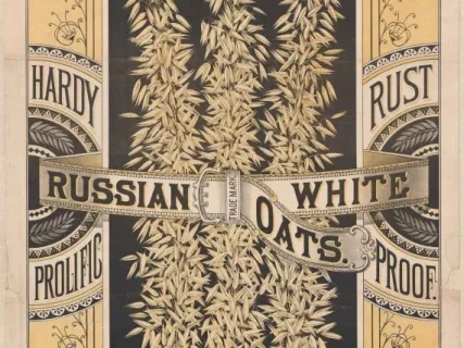 Poster - D.M. Ferry & Co.'s Celebrated Russian White Oats
