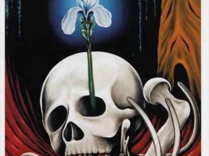 Postcard - Very Still Life