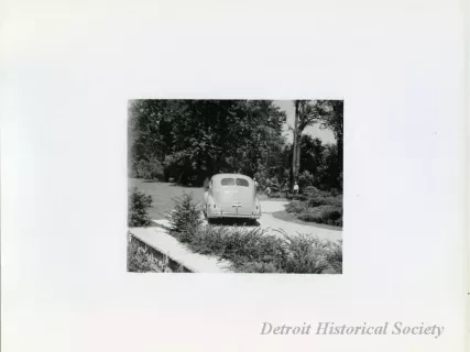 Print, Photographic