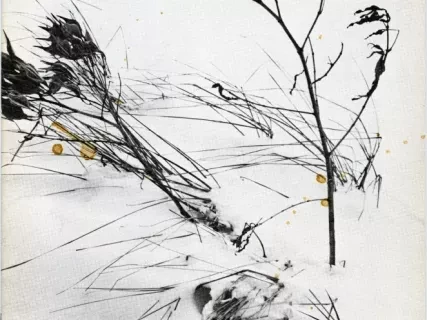 Magazine - Parke-Davis Review, vol. 29, no. 4, 1973