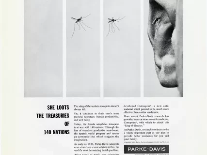 Advertisement