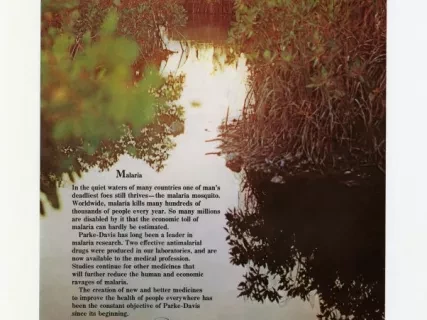 Advertisement